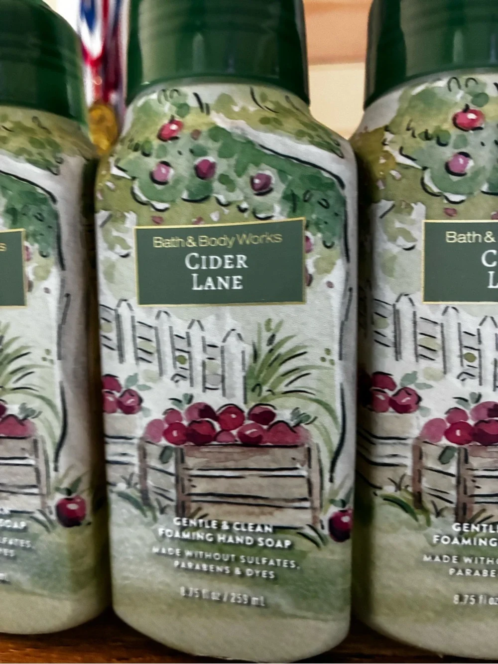Bath & Body Works Cider Lane Gentle Foaming Hand Soap - Green (4)